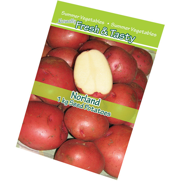 Veggie Pack - Potato Red
